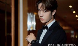 吃瓜鹅娱乐速报肖战,吃瓜鹅娱乐速报，揭秘明星背后的故事